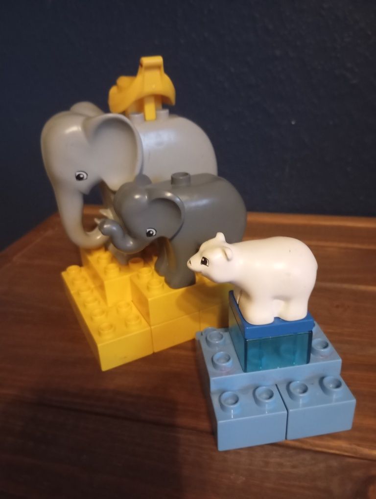 LEGO Duplo Zoo Żyrafa Słoń Hipopotam Tygrys Zebra Miś polarny Małpa