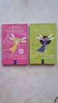 Livros As Fadas do Vale Encantado