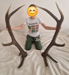 Kapitalna para zrzutów jelenia dziesiątaka