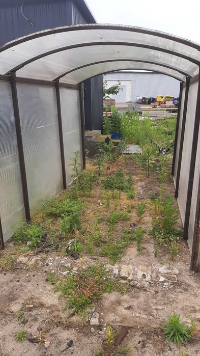 zadaszenie tunel folia