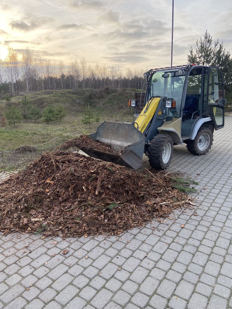 Wypożyczalnia wynajem miniładowarka ładowarka minikoparka