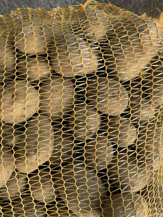 Ziemniaki jadalne Gala Soraya Lilli Red Sonia Queen Anne