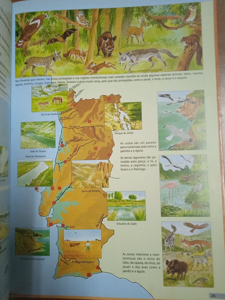 Atlas à volta da terra