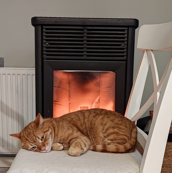 Piec na pellet Edilkamin Classica – beżowy, sprawny, retro design