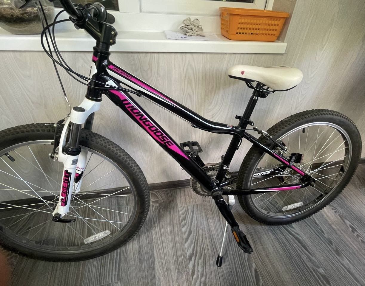 Велосипед Mongoose Rockadile