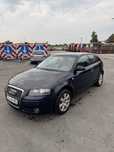 Audi A3 8p 1.9 tdi 2005