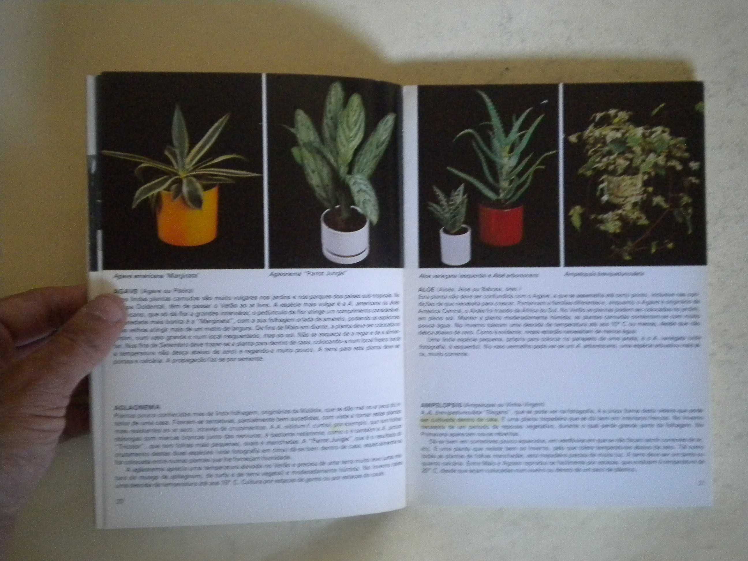 Plantas de Interior
de Rob Herwing