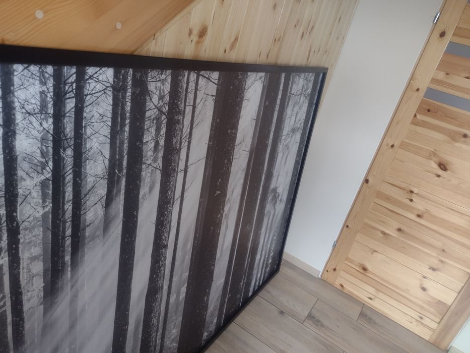 Obraz Las 200x140 IKEA