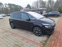 Citroen C4 Grand Picasso 7 osób
