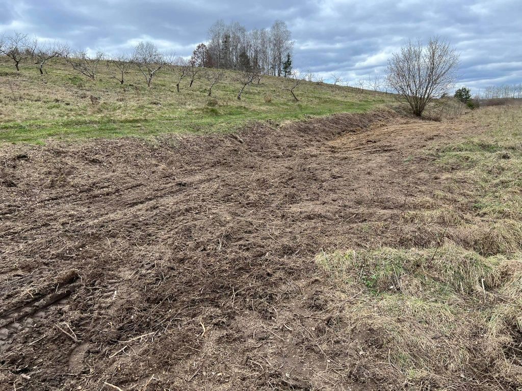 Sprzątanie ogrodów,dzialek,porzadkowanie,oproznianie