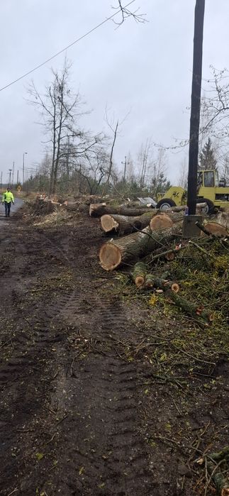 Usługi Ogrodnicze, Pielęgnacja Ogrodów, Ogród,Trawnik,Wycinka Drzew,
