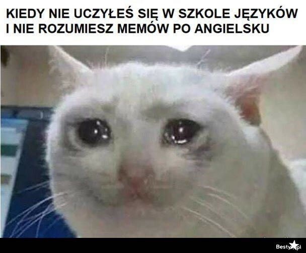 Korepetycje matematyka angielski matura egzamin ósmoklasisty