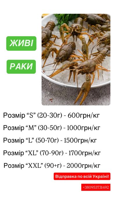 Живі та варені раки різних розмірів