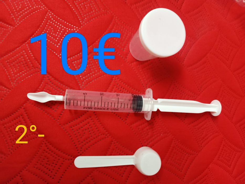 Pássaro aves animais criações