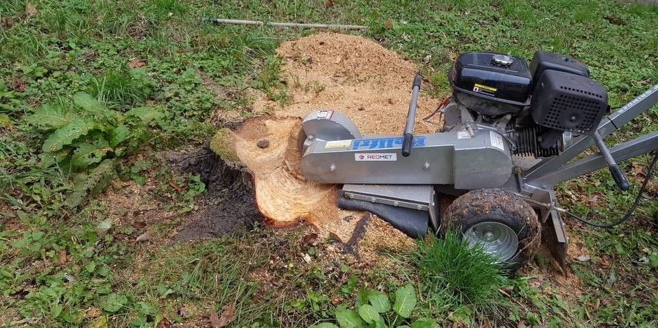 Wycinka i pielęgnacja drzew. Czyszczenie działek. Koszenie