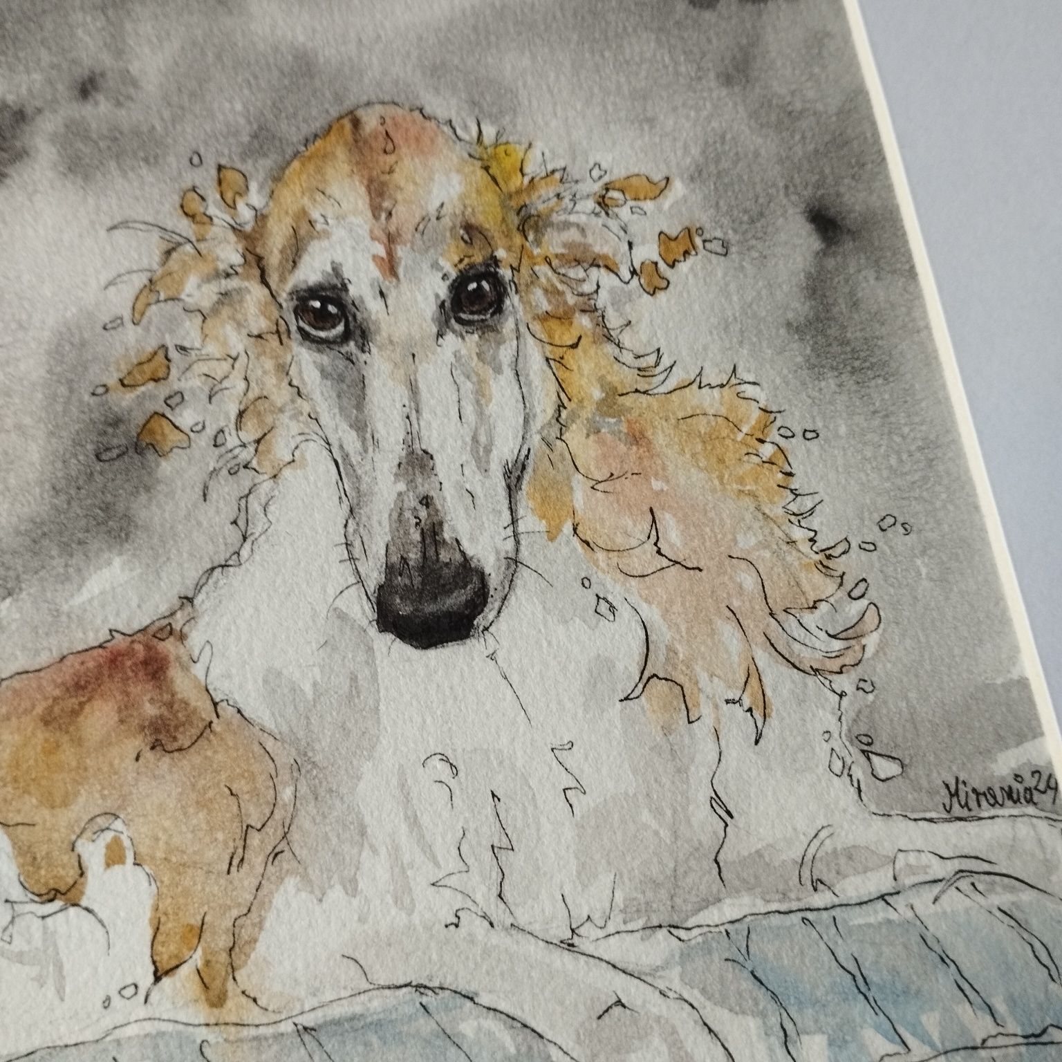 Leżący Borzoi - oprawiona akwarela