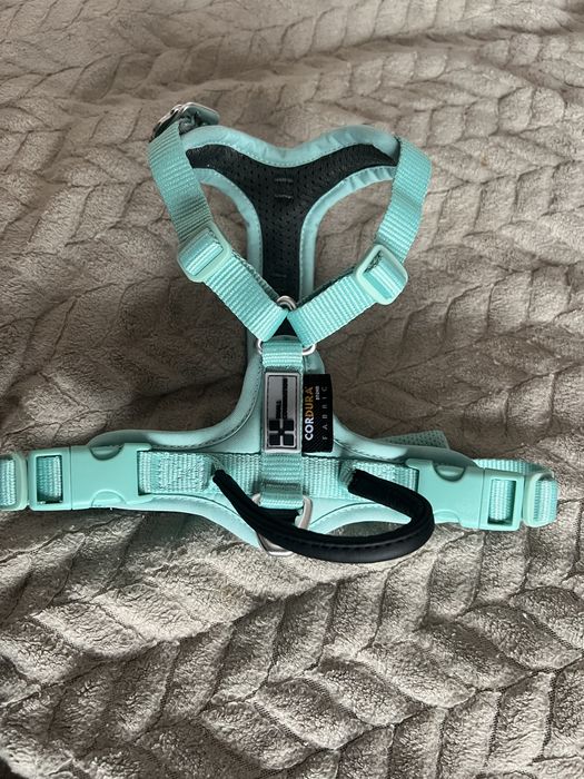 Szelki typu guard miętowe XS