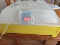 Inkubator ikar półautomatyczny
