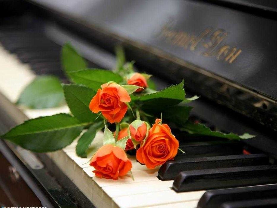 Поет-пісняр!  Текст пісні для вашого майбутнього шлягера!