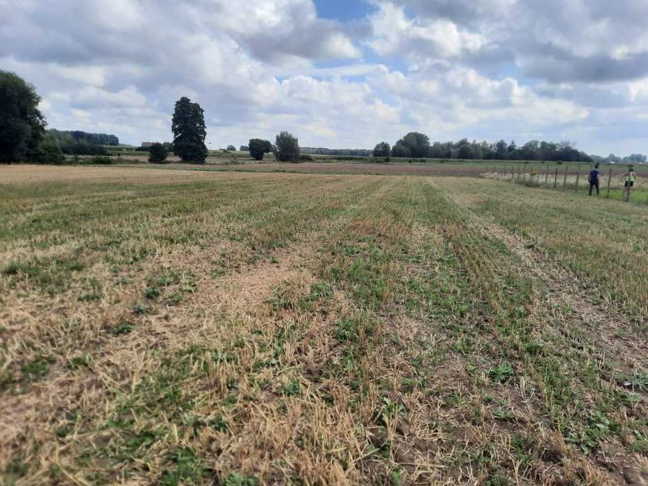 Działki budowlane Pęszyno