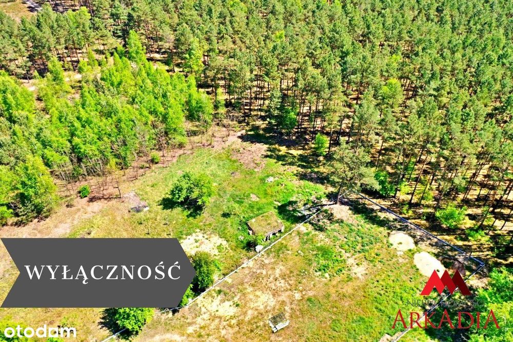 Działka w otoczeniu lasu/Powiat Włocławek