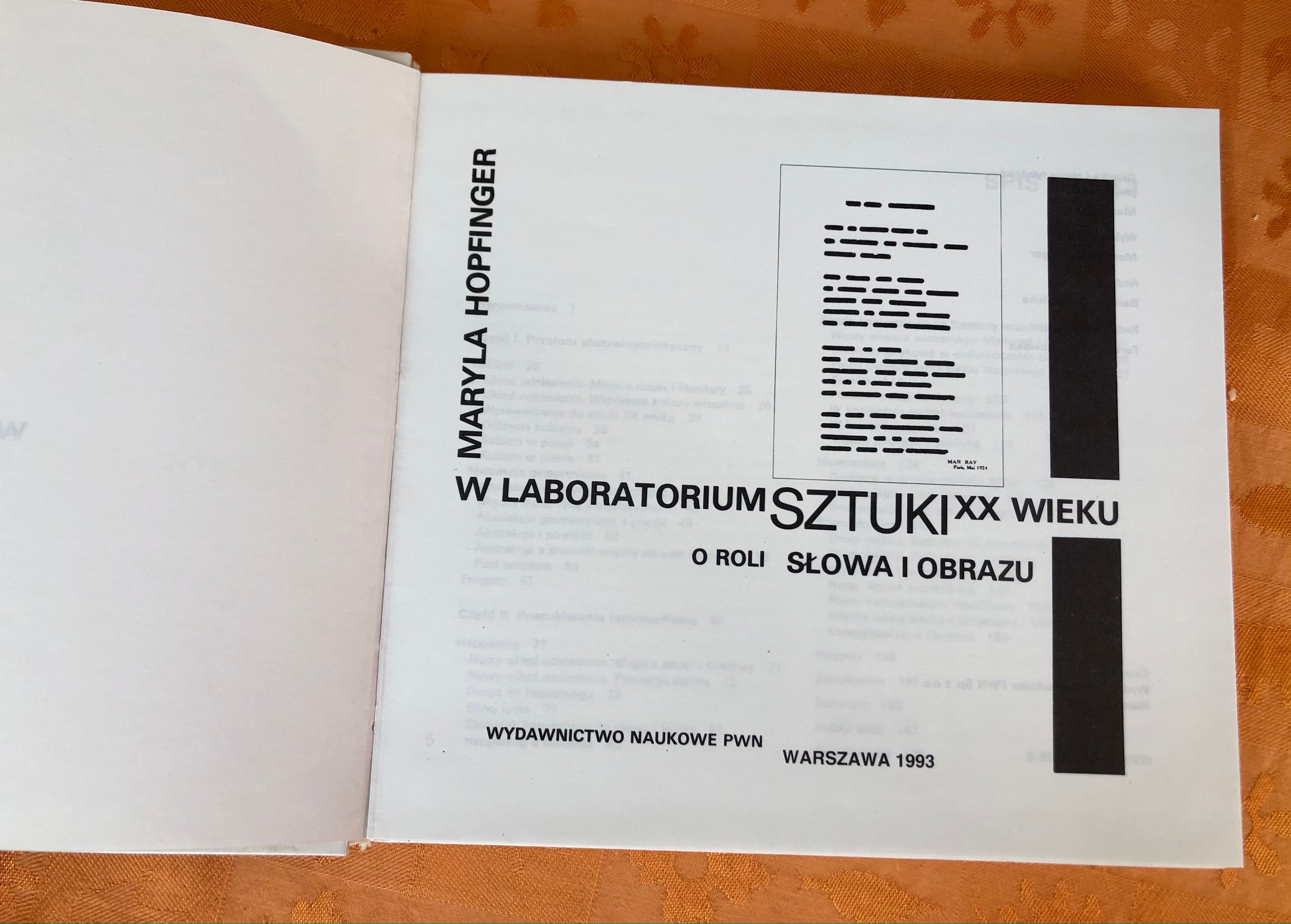 W laboratorium sztuki XX wieku - Maryla Hopfinger