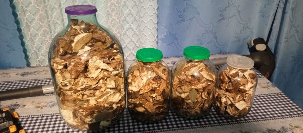 Продам сушені гриби