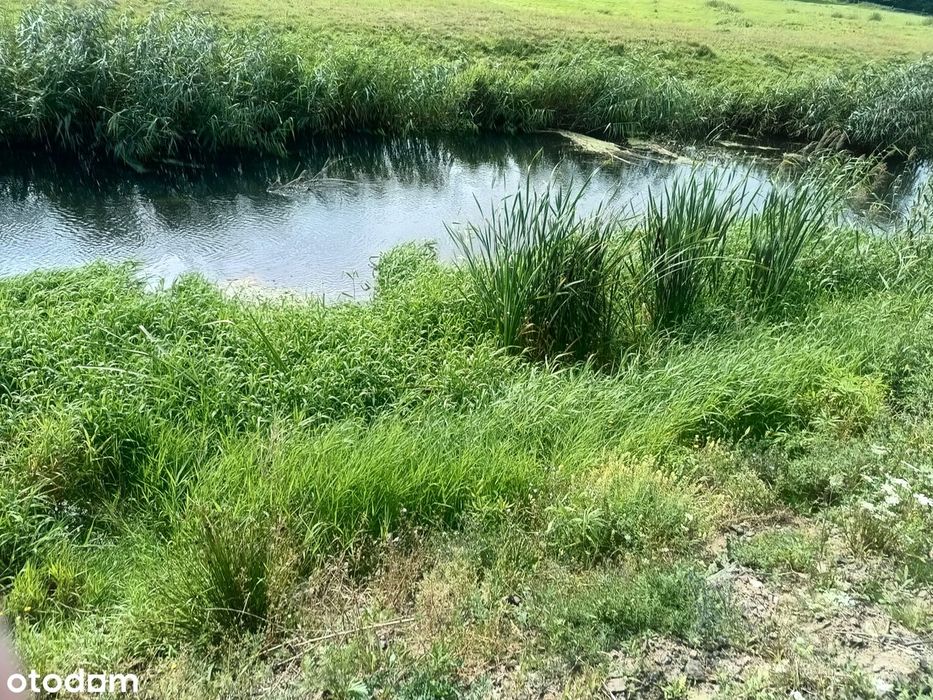 Piękna działka pod zabudowę nad Iną Stargard-Lubowo