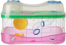 Hamster - Kit completo