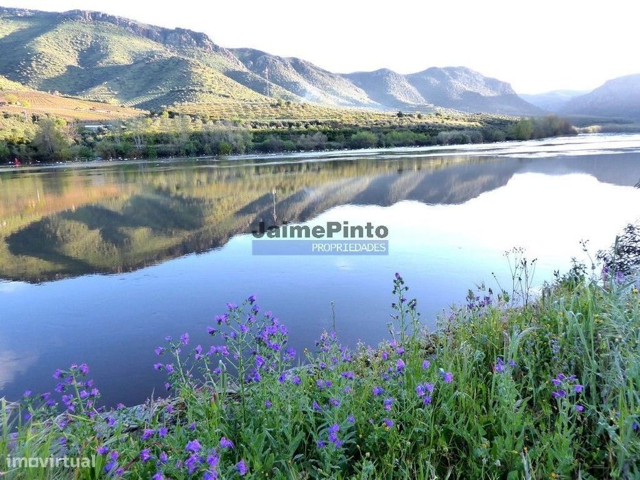 Quinta 98,7ha, Vinha, Turismo, rio Douro, Natureza imensa. Portugal...