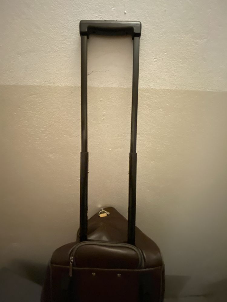 Mala castanha de rodas e pega para se puchar