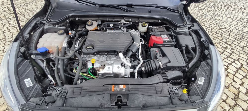 Ford focus 1.5 tdci