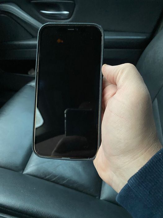 iPhone 12 Pro Max 256