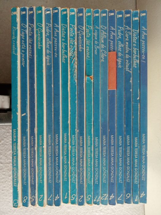 Livros de MARIA TERESA MAIA GONZALEZ