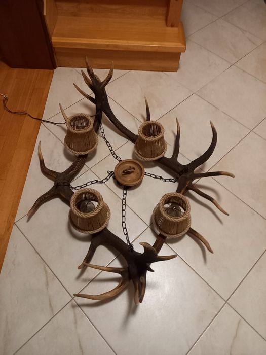 Żyrandol z poroża jelenia