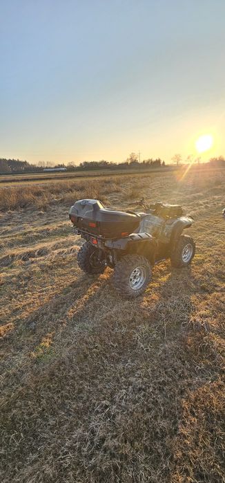 Yamaha Grizzly 700 WSPOMAGANIE