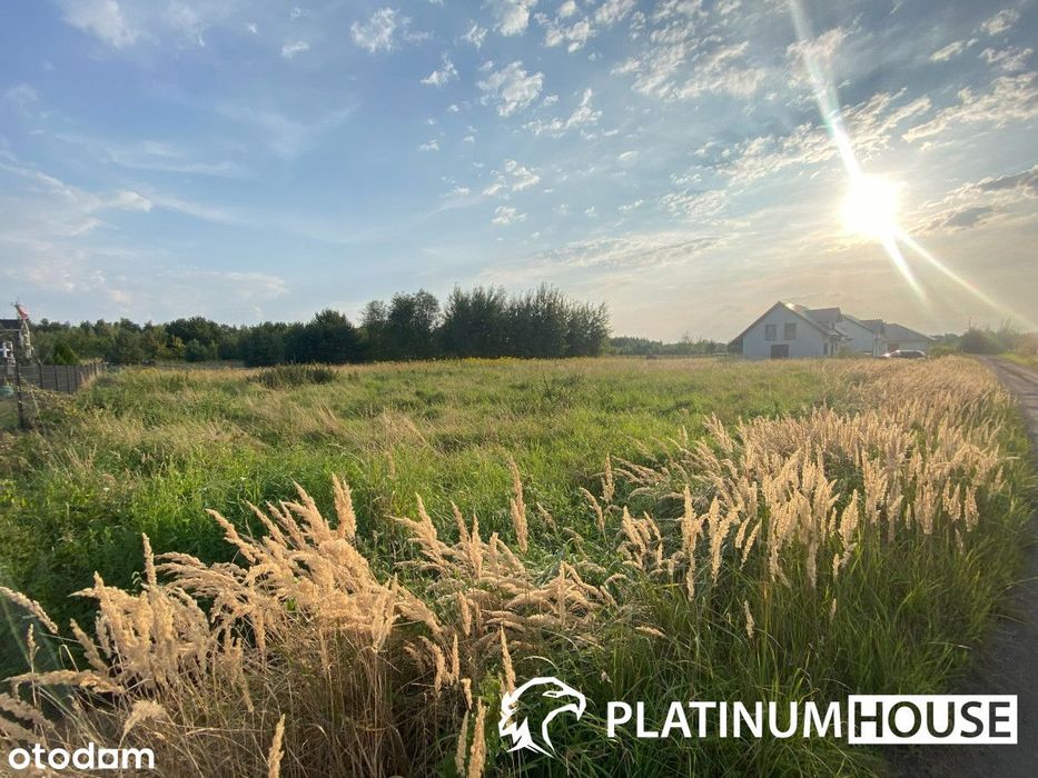 działka blisko jeziora i miasta pow. 2975m2