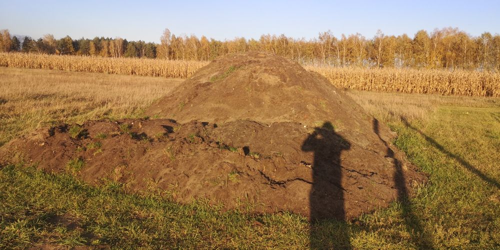 Oddam za darmo czarna ziemie