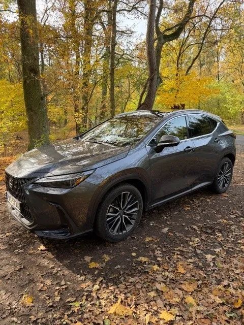Lexus NX Omotenashi - pierwszy właściciel, stan idelany, bezwypadkowy 26300 km