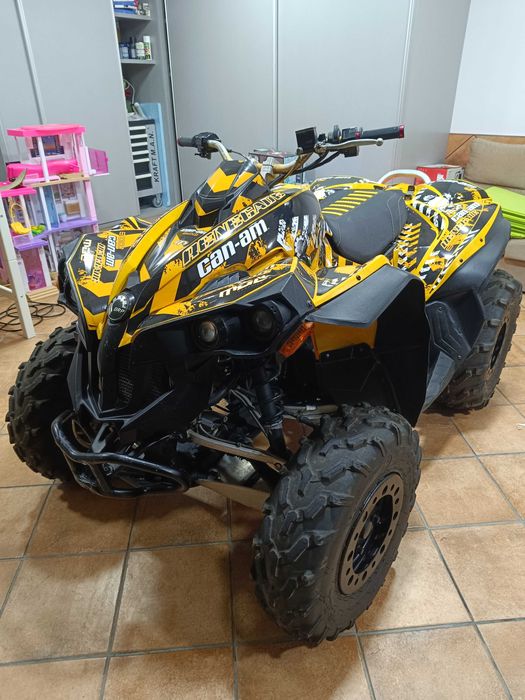 Can Am reenegate 800