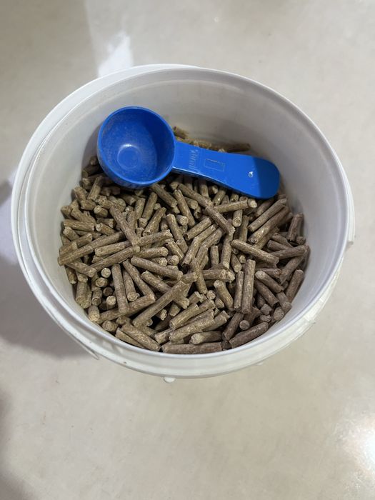 Fibor Vetplus dla psa i kota