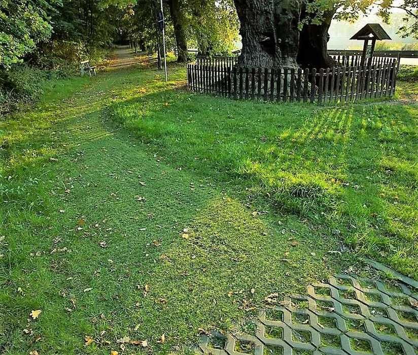 KRATKA GEOKRATA Trawnikowa Drogowa Parkingowa STELLA GREEN SG1 50x50x4