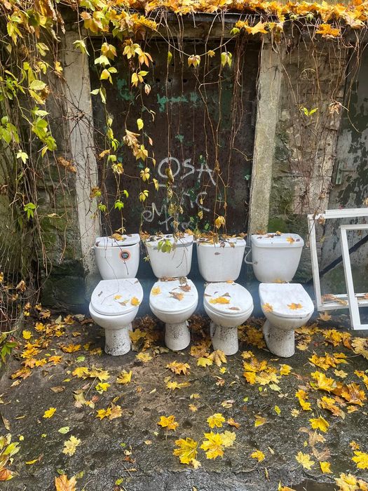 Oddam za darmo drzwi i sedesy