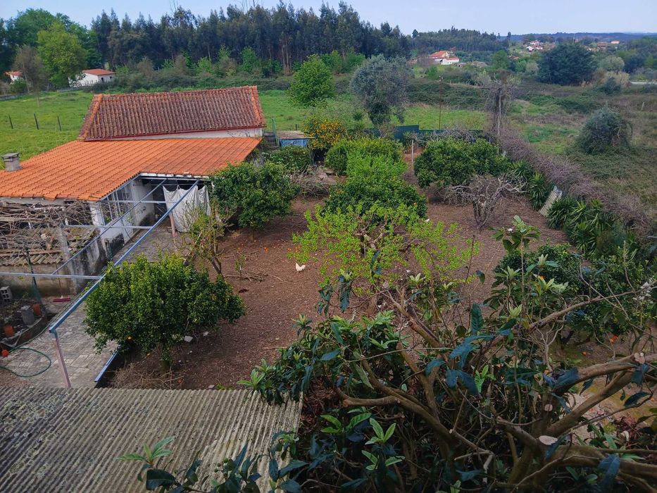 Oportunidade única de Arrendamento de Moradia para Empresas!