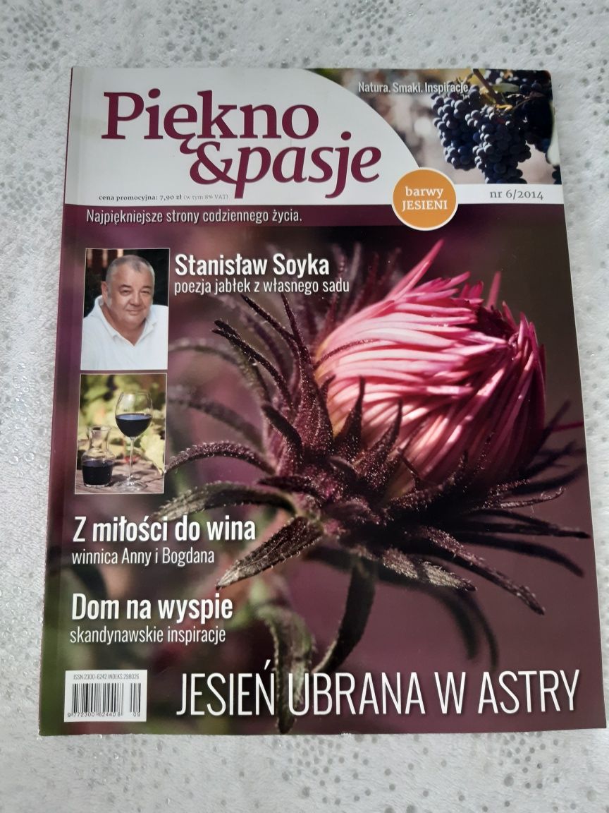 Piękno & pasje 6/2014