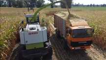 Samojezdna przyczepa objętościowa transport odwóz agrobil