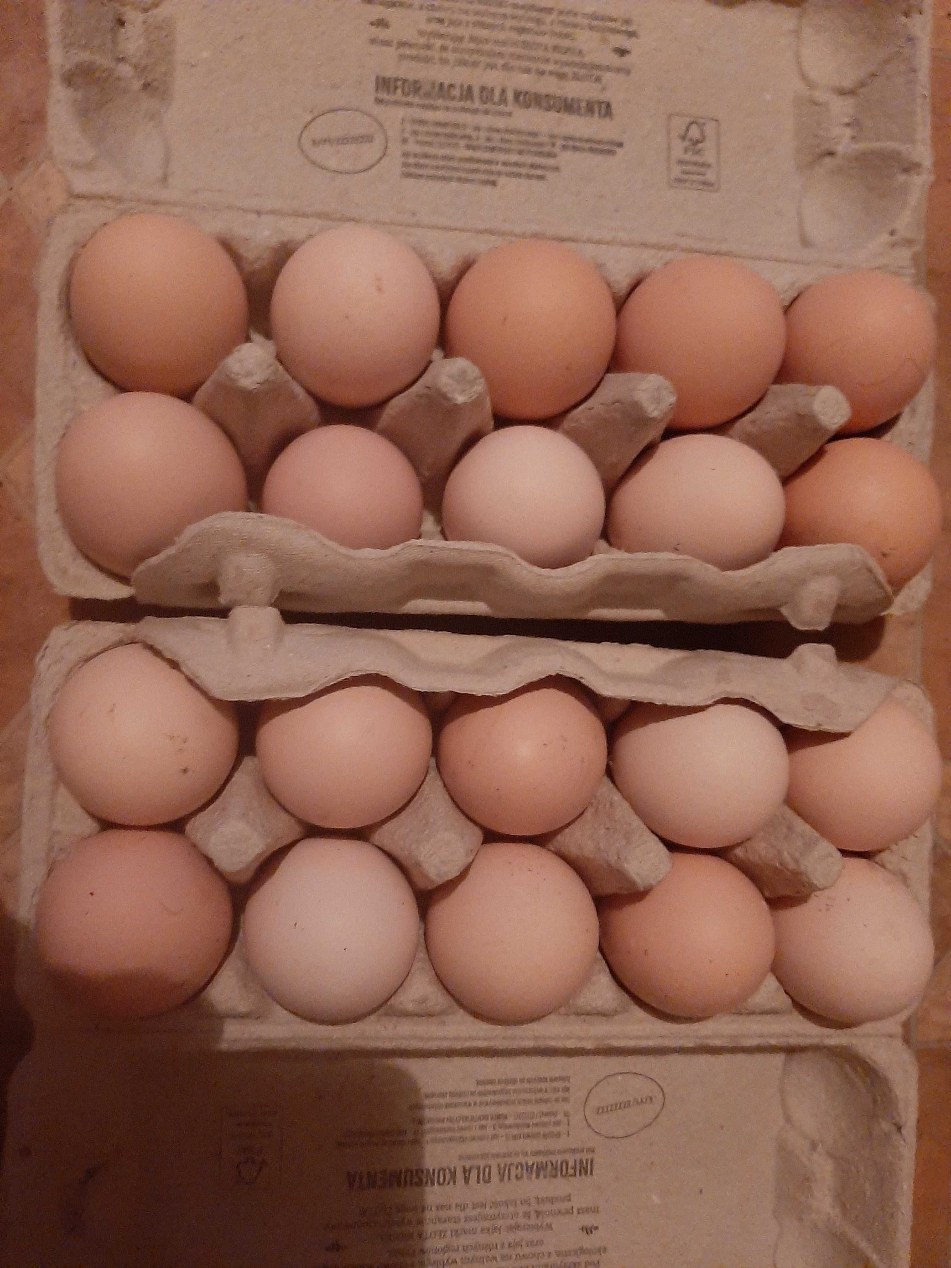 Eko jajka  ,świeze i zdrowe