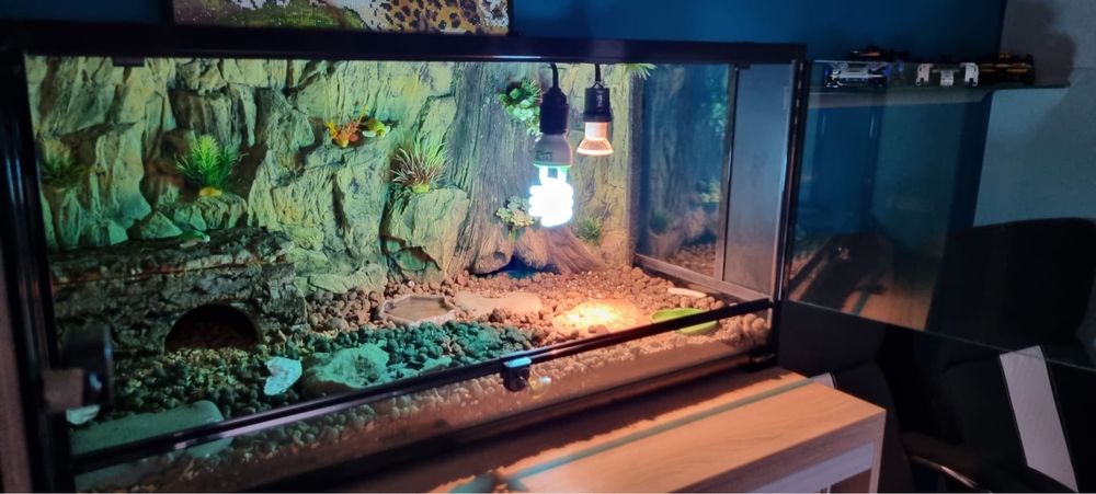 Terrarium dla gada