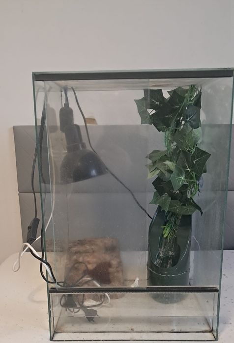 Terarium po kameleonie
