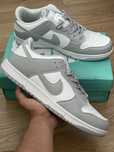 Nike Dunk Low Cinza